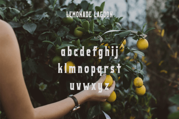 Lemonade Lagoon Font - Image 7