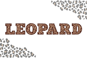 Alternative view of Leo Font