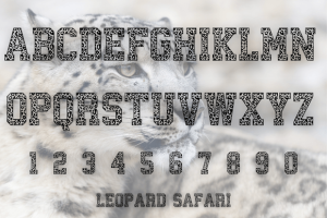 Alternative view of Leopard Safari Font