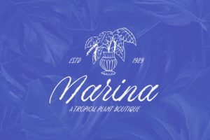 Alternative view of Little Bleach Font