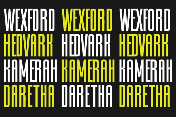 Longline Font - Image 9