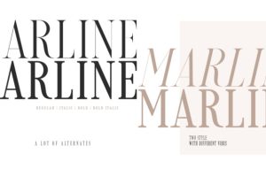 Alternative view of Lovérica Font