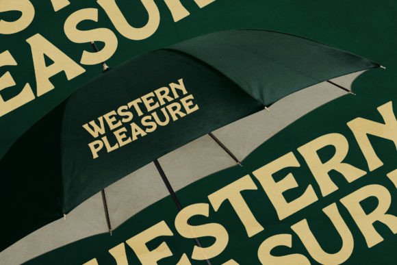 Manbort Font - Image 7