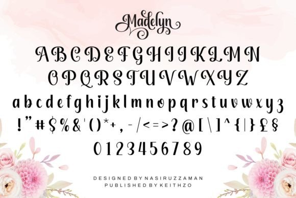 Madelyn Font - Image 4