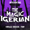 Magic Vigerland Font