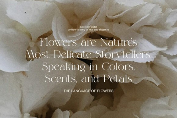 Magich Font - Image 6