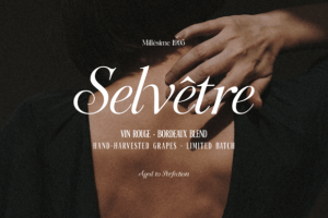 Alternative view of Maison Galliard Font