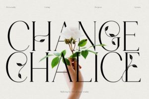 Alternative view of Mallong Font