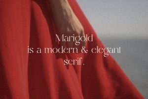 Alternative view of Marigold Font