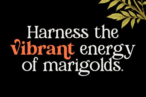 Marigold Magic Font - Image 2