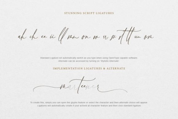 Marilla Spring Font - Image 8