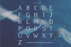 Alternative view of Marinha Font