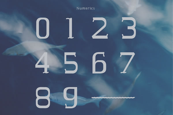 Marinha Font - Image 4