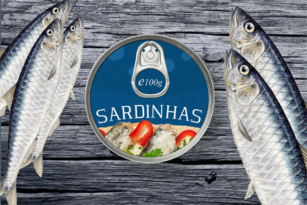 Marinha Font - Image 6