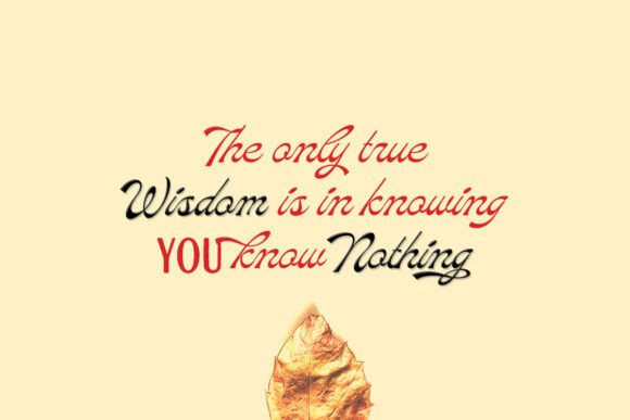 Marlean Font - Image 3