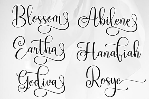 Master Script Font - Image 6