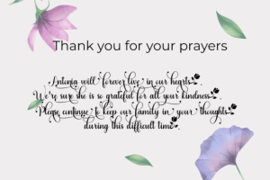 Alternative view of Maydena Font