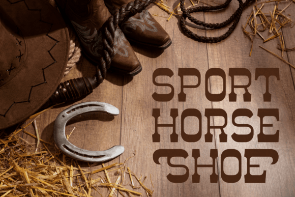 Mayor Sheriv Font - Image 2