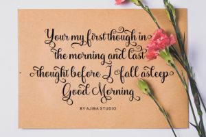 Alternative view of Medhina Script Font