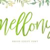 Mellony Font