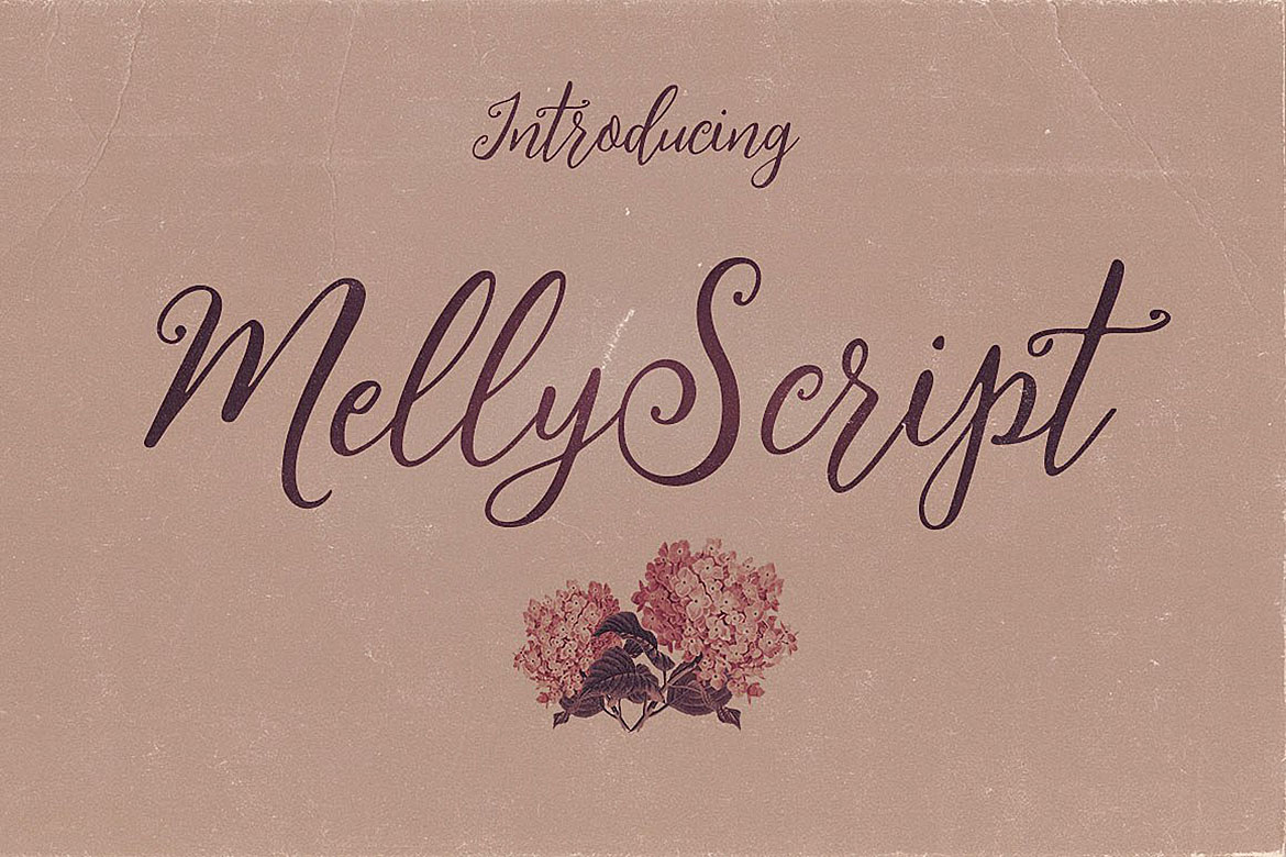 Melly Script Font Duo Font - Image 5