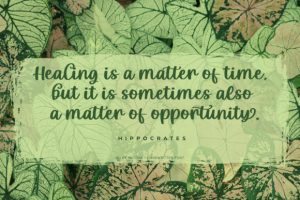 Alternative view of Milky Matcha Font