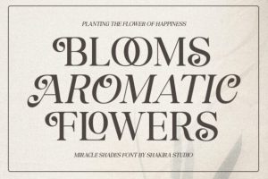 Alternative view of Miracle Shades Font