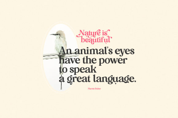 Mitogen Font - Image 7