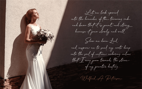 Modelista Font - Image 9