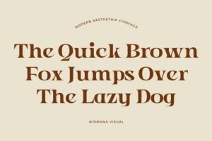 Alternative view of Modern Aesthetic Font