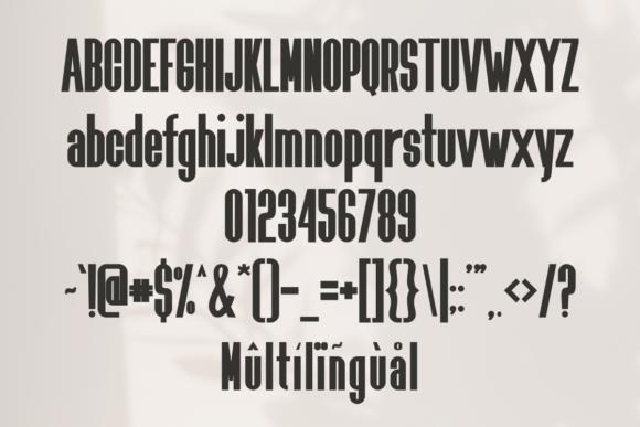 Monarch Signature Font - Image 7