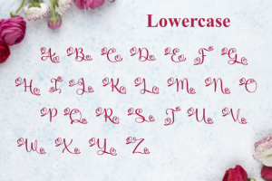 Alternative view of Monogram Love Font