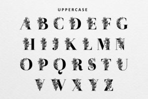 Alternative view of Monogram Me Font