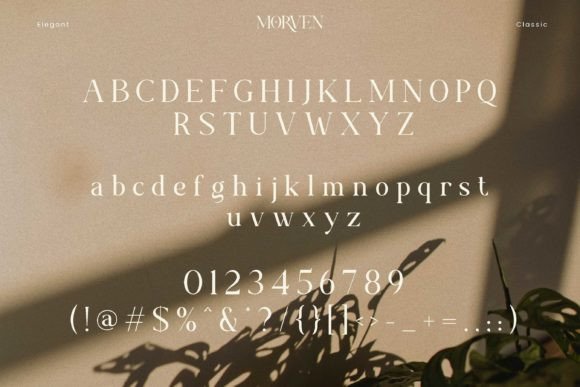 Morven Font - Image 7