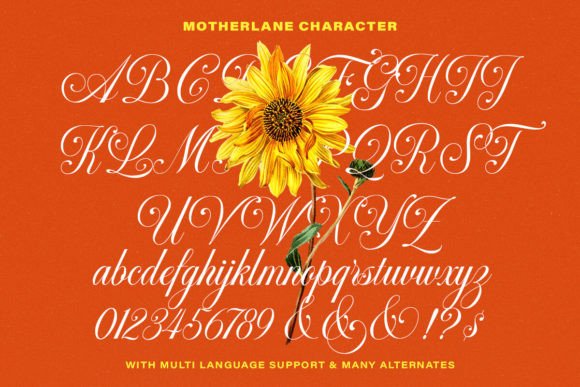 Motherlane Font - Image 8
