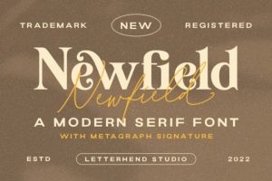 Newfield Font