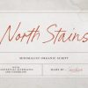 North Stains Font