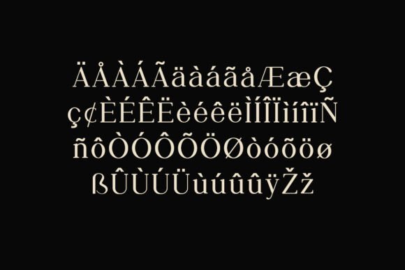 Nostalgic Whispers Font - Image 8