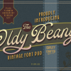 Oldy Beany Duo Font
