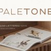 Paletone Font