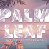 Palm Leaf Font
