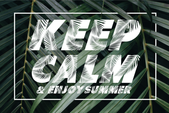 Palm Leaf Font - Image 4
