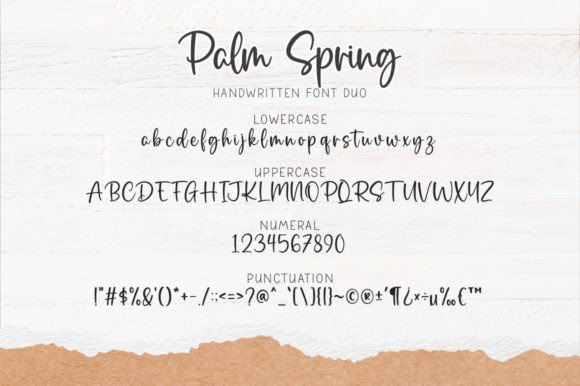 Palm Spring Font - Image 6
