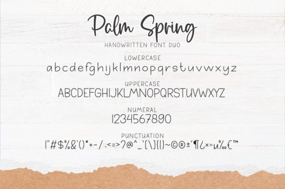 Palm Spring Font - Image 7