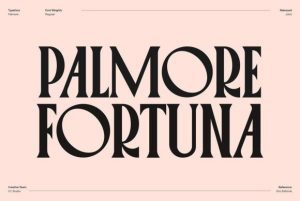 Alternative view of Palmore Font