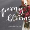 Peony Blooms Duo Font