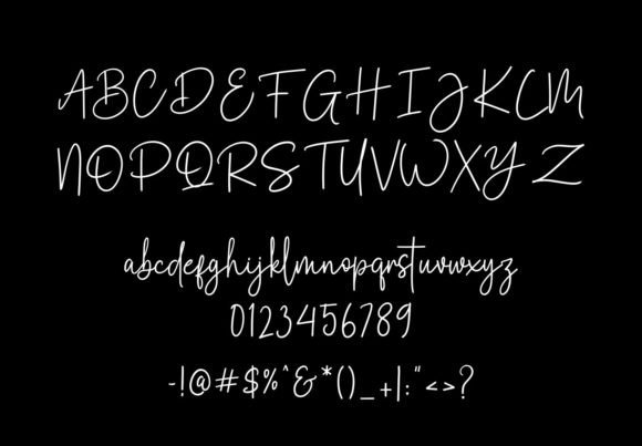 Premium Signature Font - Image 4