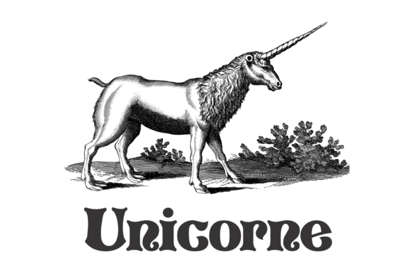 Pretoria Gross Font - Image 2