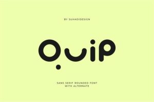 Quip Font