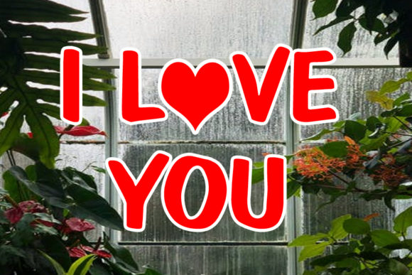 Rainy Valentine Font - Image 3